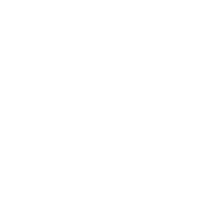 Search Icon