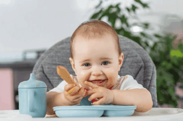 Complete Guide to Introducing Solid Foods (From 6 Months)