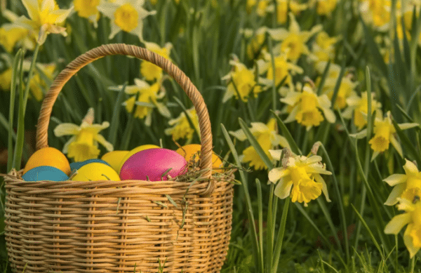 15 Easy Earth Day Crafts for Kids