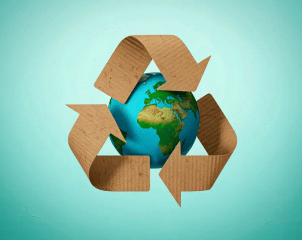 15 Easy Earth Day Crafts for Kids