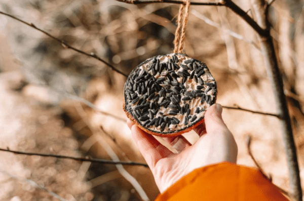 15 Easy Earth Day Crafts for Kids