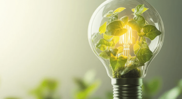 15 Easy Earth Day Crafts for Kids