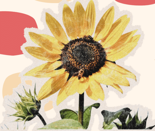 15 Easy Earth Day Crafts for Kids