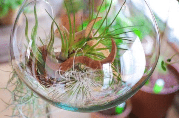 15 Easy Earth Day Crafts for Kids