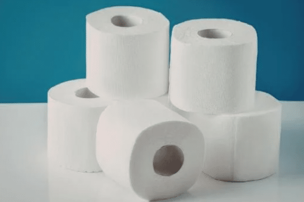 15 Easy Earth Day Crafts for Kids