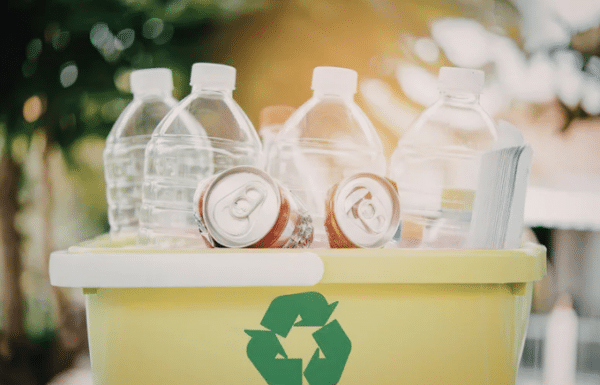 15 Easy Earth Day Crafts for Kids