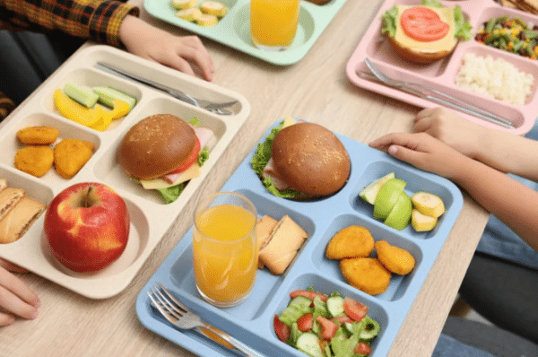 Nut-Free School Lunches: Easy Back-to-School Ideas for Kids